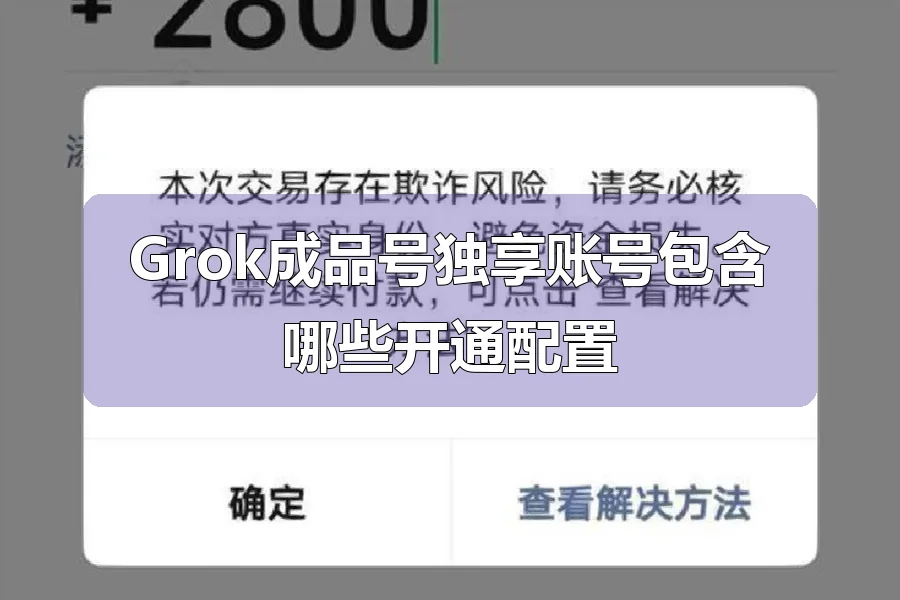 Grok成品号独享账号包含哪些开通配置