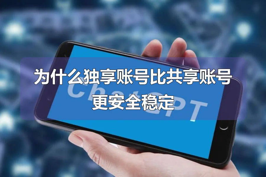 为什么独享账号比共享账号更安全稳定